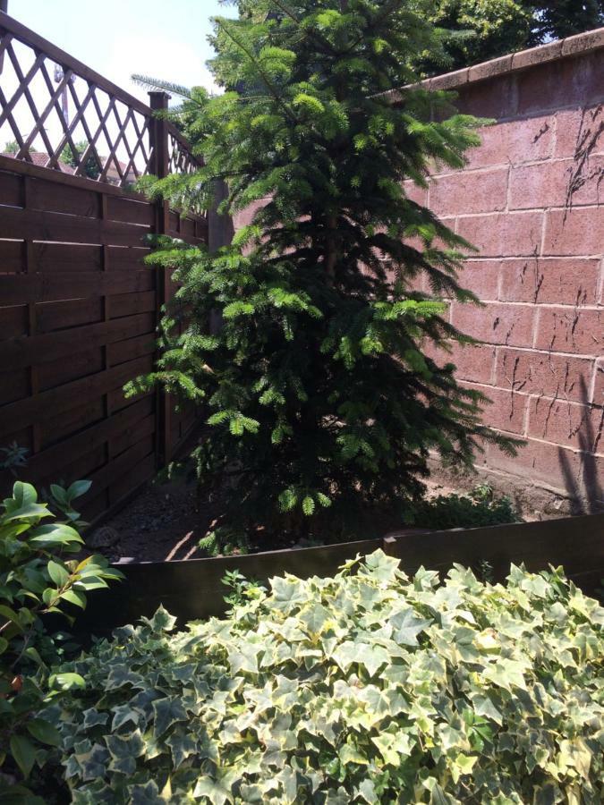 Apartmán La Porta Nel Giardino Asti Exteriér fotografie