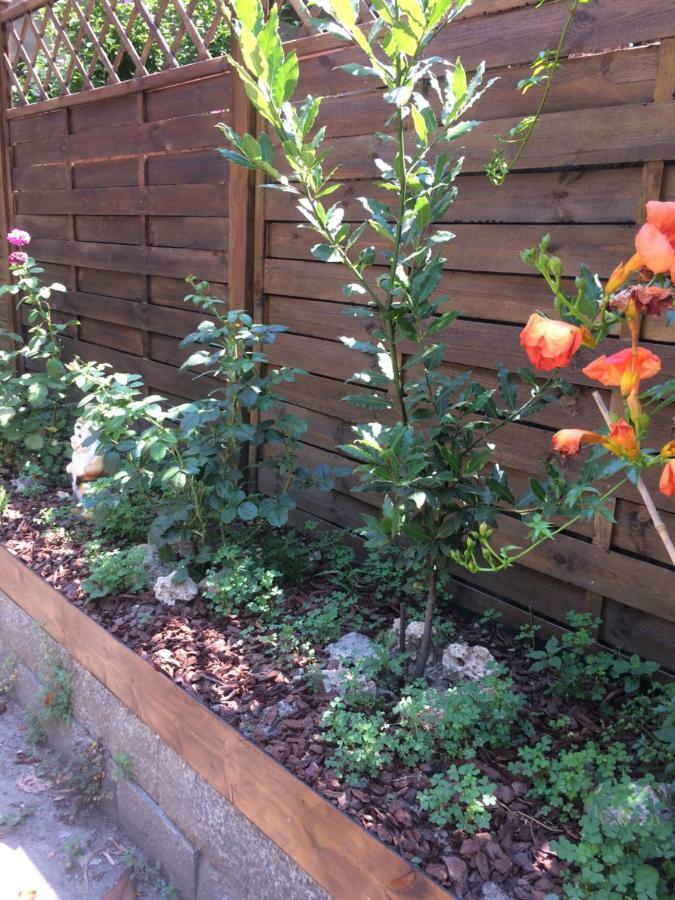 Apartmán La Porta Nel Giardino Asti Exteriér fotografie