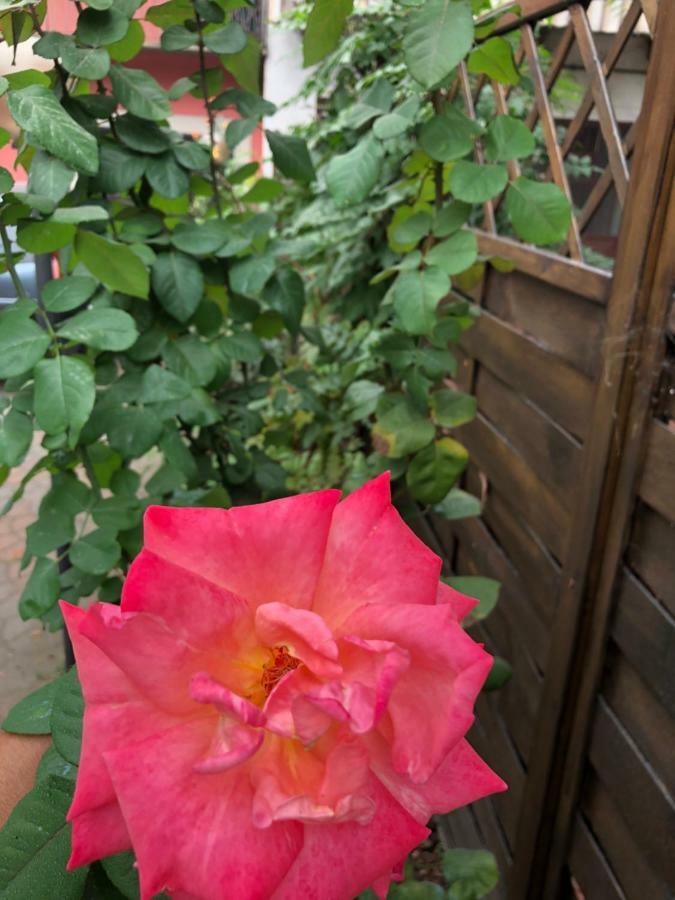 Apartmán La Porta Nel Giardino Asti Exteriér fotografie